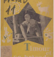 Timour et sa brigade
